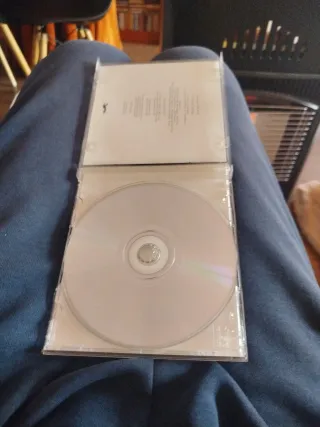 CD Vashti Bunyan - Lookaftering