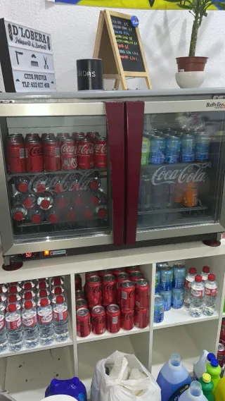 Nevera Coca-Cola 2 puertas