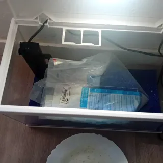 Acuario con grava azul