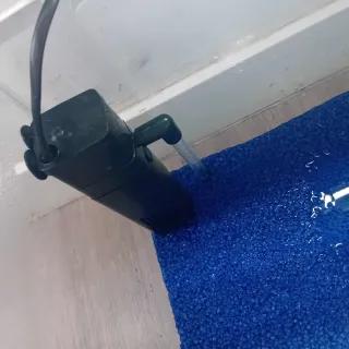Acuario con grava azul