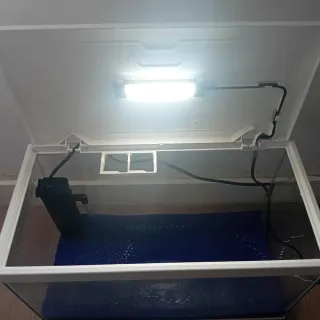 Acuario con grava azul