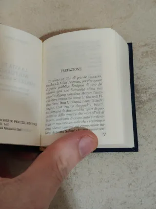 Libro Mozart Mini Biblioteca Peruzzo