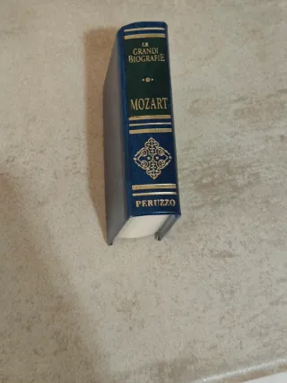 Libro Mozart Mini Biblioteca Peruzzo