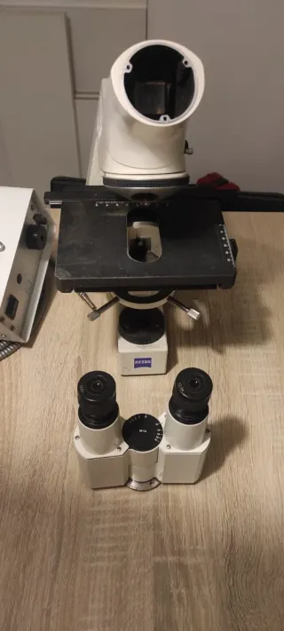 Microscopio Carl Zeiss Standard 25 SIN OBJETIVOS