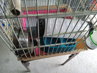 Jaula para pájaros/roedores