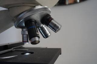 Microscopio Binocular  Laboratorio