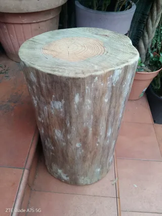 Tronco de pino decorativo oferta sólo esta semana