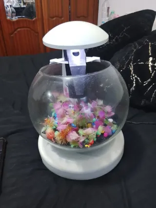 Pecera redonda con luz