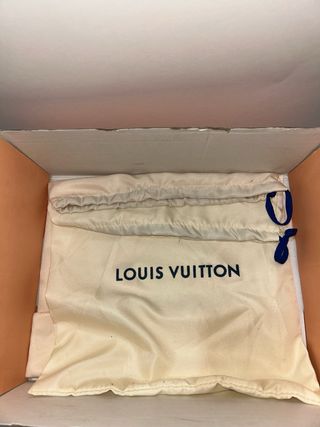 Louis Vuitton skate