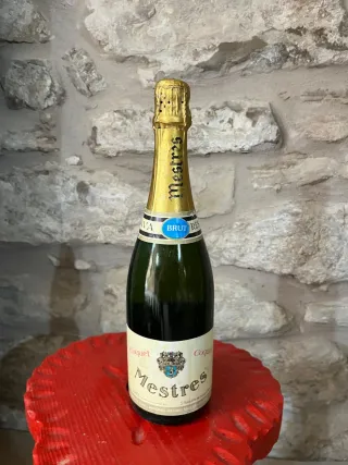 Botella Terry Camborio Fino Sherry Antigua