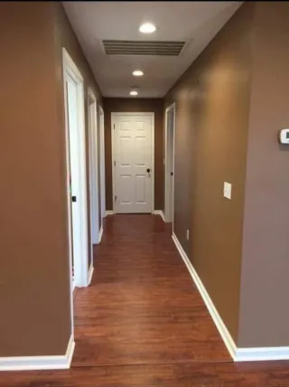 Pintores profesionales