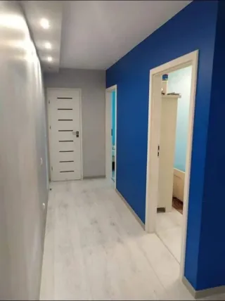 Pintores profesionales