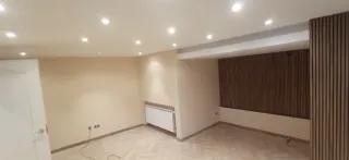 Pintores profesionales