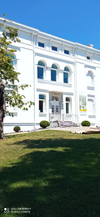 Pintores profesionales