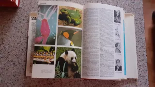 Oceano Uno Diccionario Enciclopédico Ilustrado