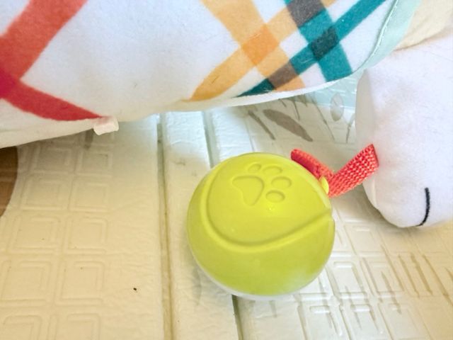 Juguetes sensoriales Fisher Price