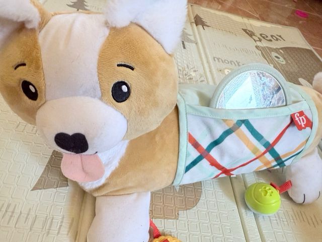 Juguetes sensoriales Fisher Price