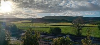 Se busca trabajo y alojamiento en finca en Castro