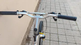 Bicicleta de Montaña