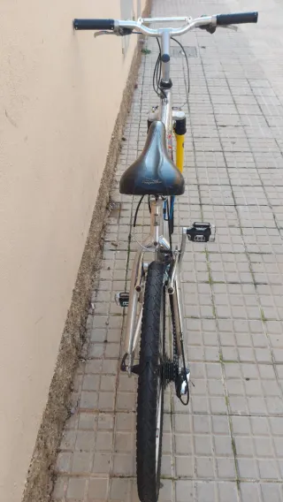 Bicicleta de Montaña