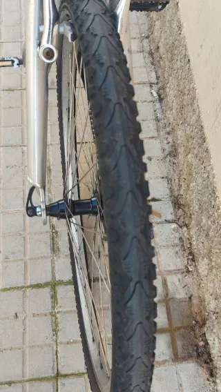 Bicicleta de Montaña