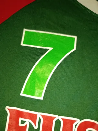 Camiseta Euskal Herria 7 S