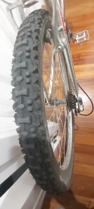 Bicicleta de Montaña