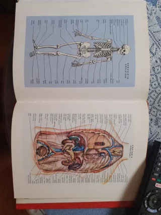 Diccionario moderno español-ingles, ingles-espa...