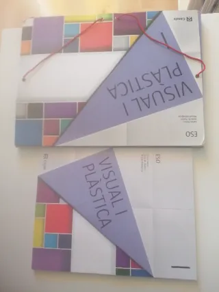 Visual i Plàstica I ESO (2015)