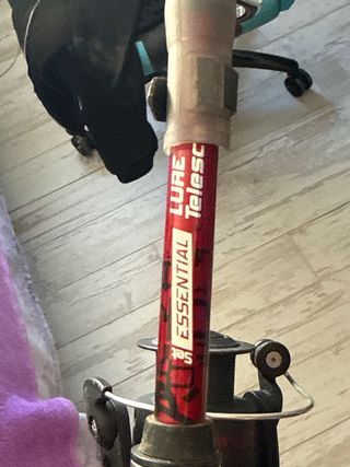 Caña de pescar Essential Decathlon