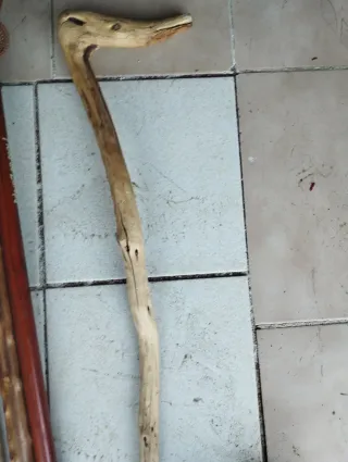 Varios bastones, uno Picos de Europa