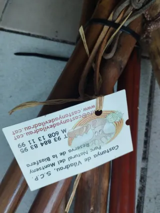 Varios bastones, uno Picos de Europa