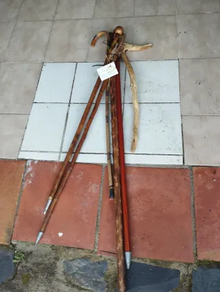 Varios bastones, uno Picos de Europa