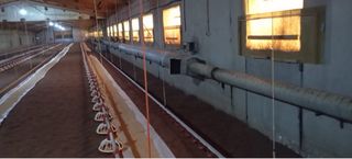 Estufa biomasa para nave avícola/invernaderos, etc