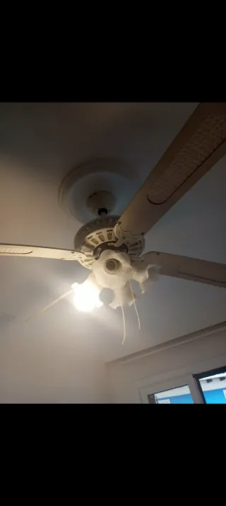 Lámpara Ventilador de Techo