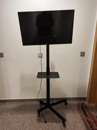 Soporte TV con ruedas. Con TV  o solo, 120€ o 70€