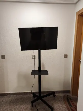 Soporte TV con ruedas. Con TV  o solo, 120€ o 70€