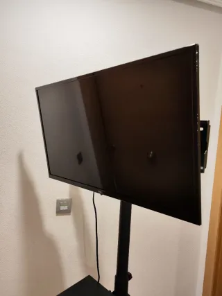 Soporte TV con ruedas. Con TV  o solo, 120€ o 70€