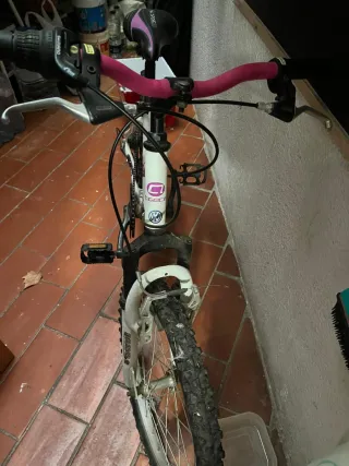 Bicicleta junio