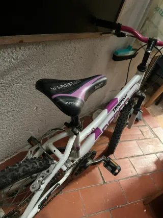 Bicicleta junio