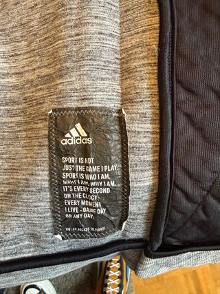 Chaqueta Adidas gris con capucha