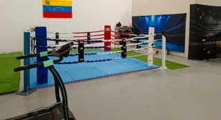 Ring de Boxeo todo incluido