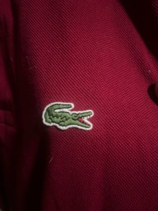 Polo Lacoste Granate Talla xxl