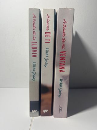 Los tres libros de la saga A traves de mi ventana.