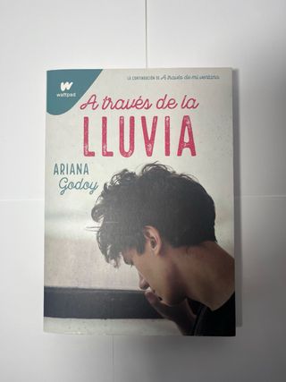 Los tres libros de la saga A traves de mi ventana.