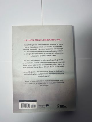 Los tres libros de la saga A traves de mi ventana.