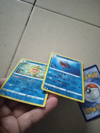 Lote Cartas Pokémon