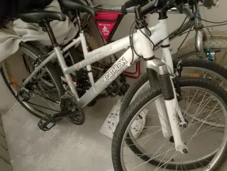 Bicicletas