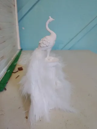 Miniatura de pavo real blanco