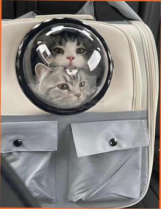 Mochila Transportín Mascota Viaje